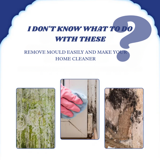 MouldZero™ - Mould Removal Spray