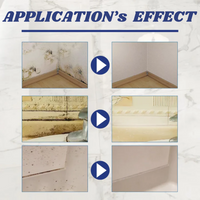 MouldZero™ - Mould Removal Spray