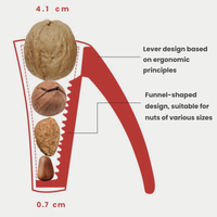 Walnix™ | Nutcracker
