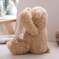HugaBoo™ – Peekaboo Bear Plush Toy